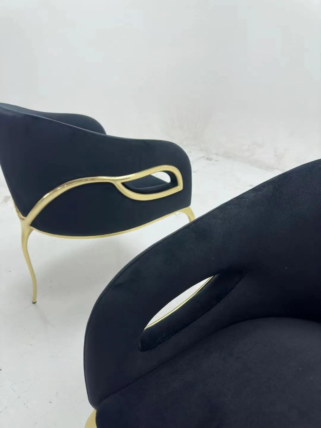 Chandra Italian Designer Art Simple Customize Fabric Dining Chair