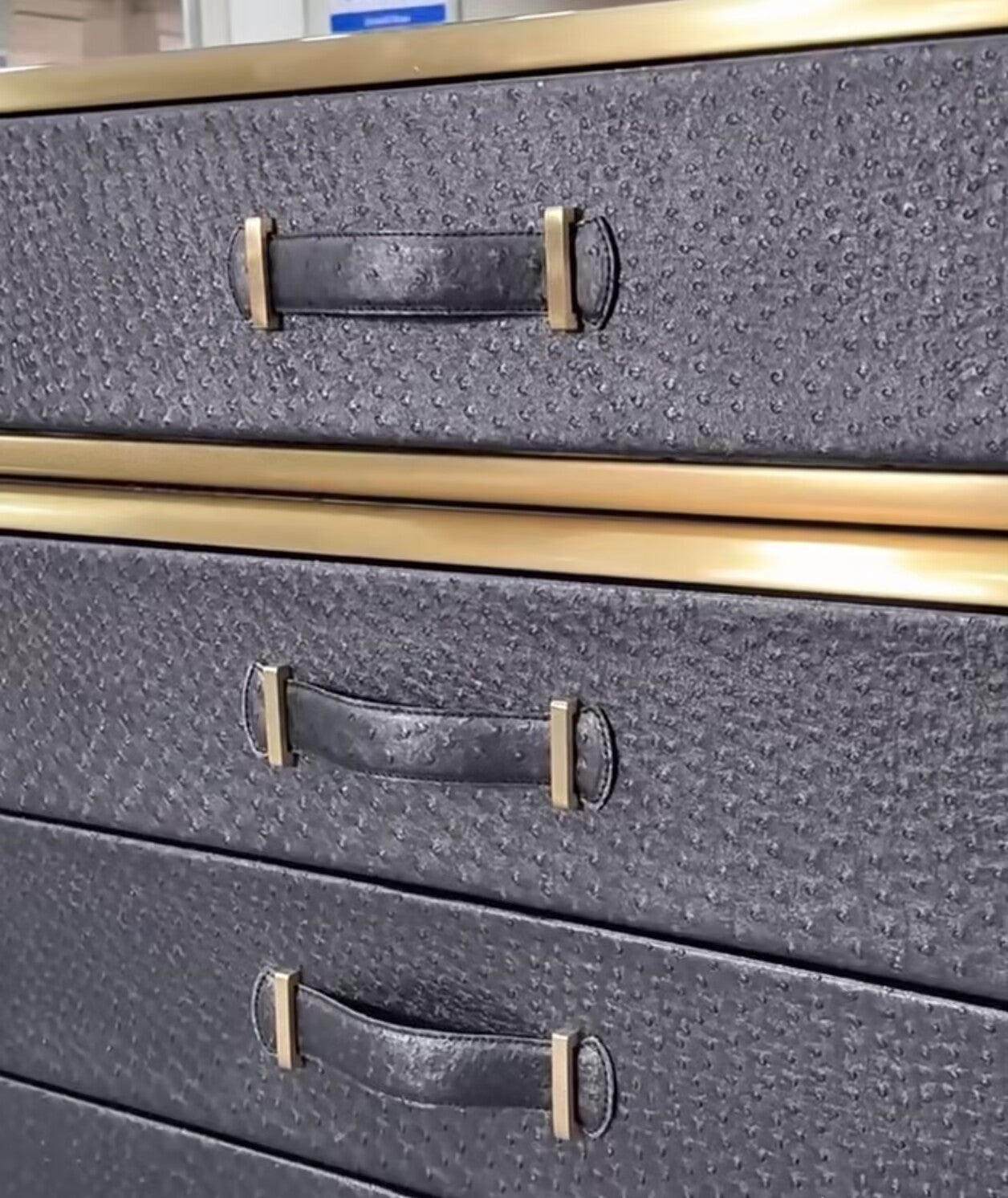 Fly Case Modern Villa Bedroom Designer Leather Storage Cabinet