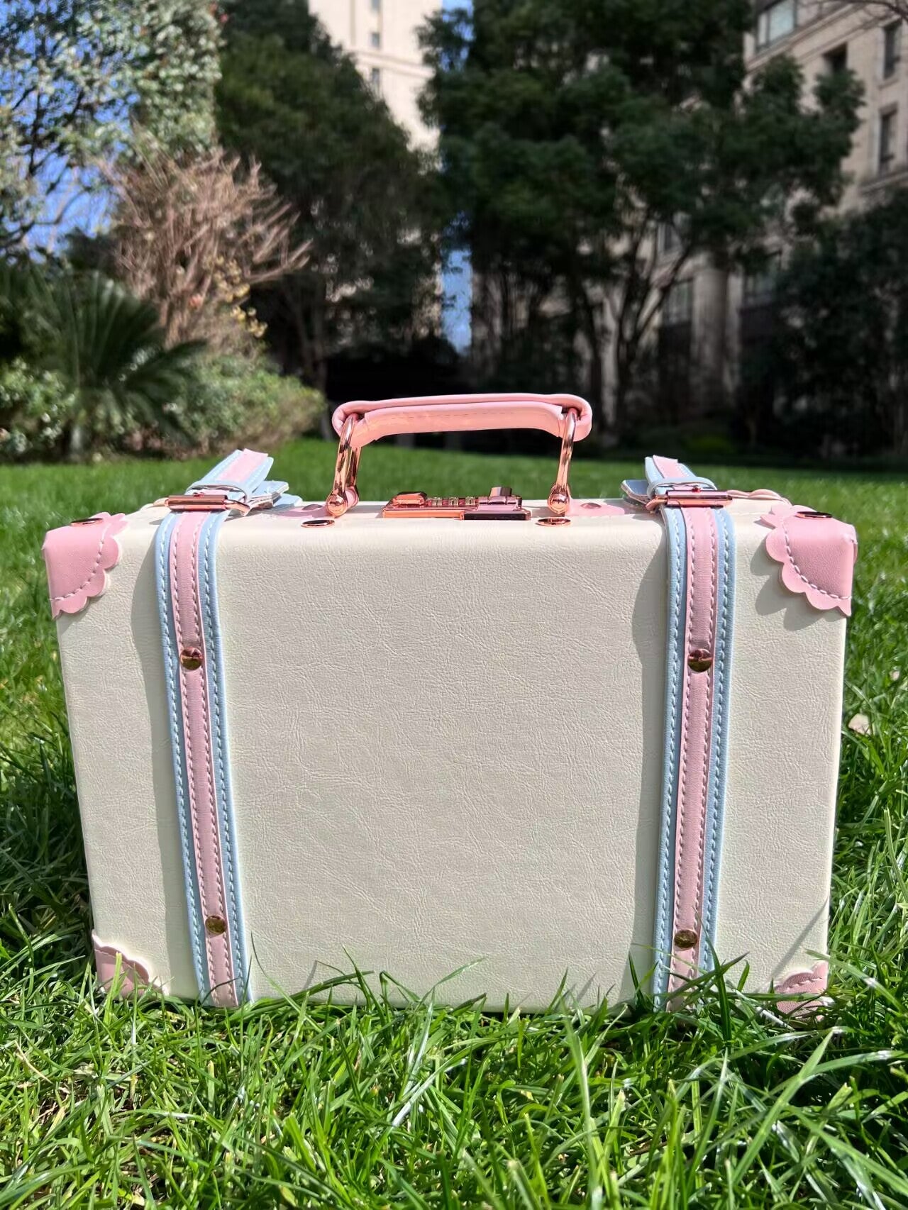 Minimalism Luxurious Retro Cute Creativity Leather Password Suitcase